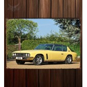 Металлическая табличка Jensen Interceptor III